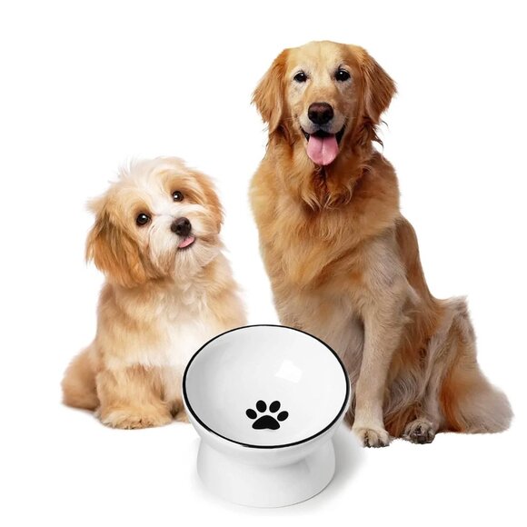 NWOT Teacup's Diner Raised Stress Free Small Dog Food Bowl Pedestal UNUSED - Picture 9 of 9